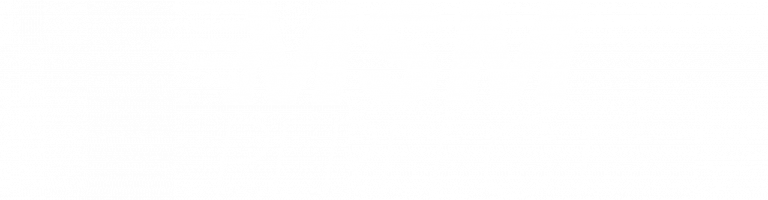 Logo MSMPerfect
